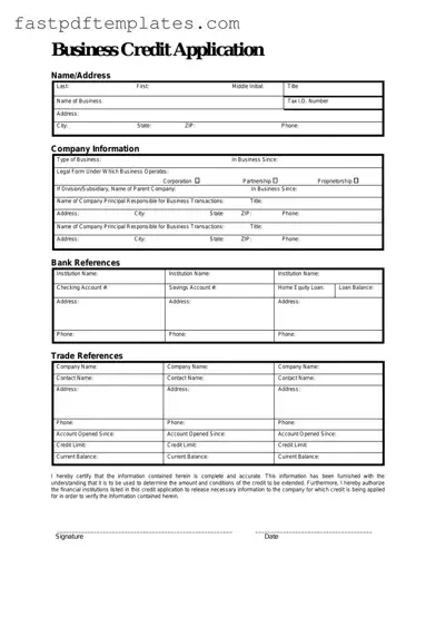 Blank Business Credit Application Form